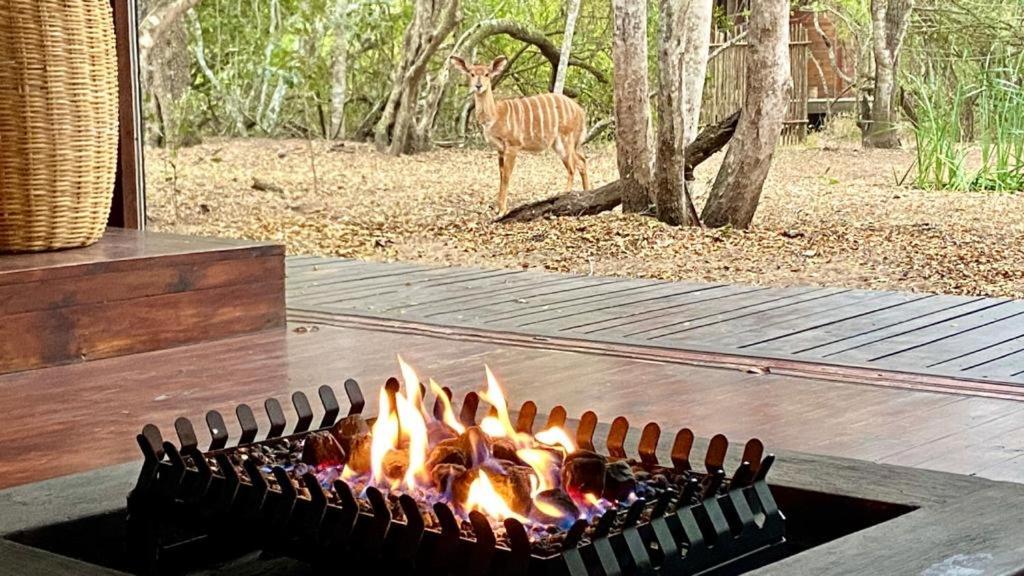 Hideaways Lazuli Bush Lodge, هلوهلوي المظهر الخارجي الصورة
