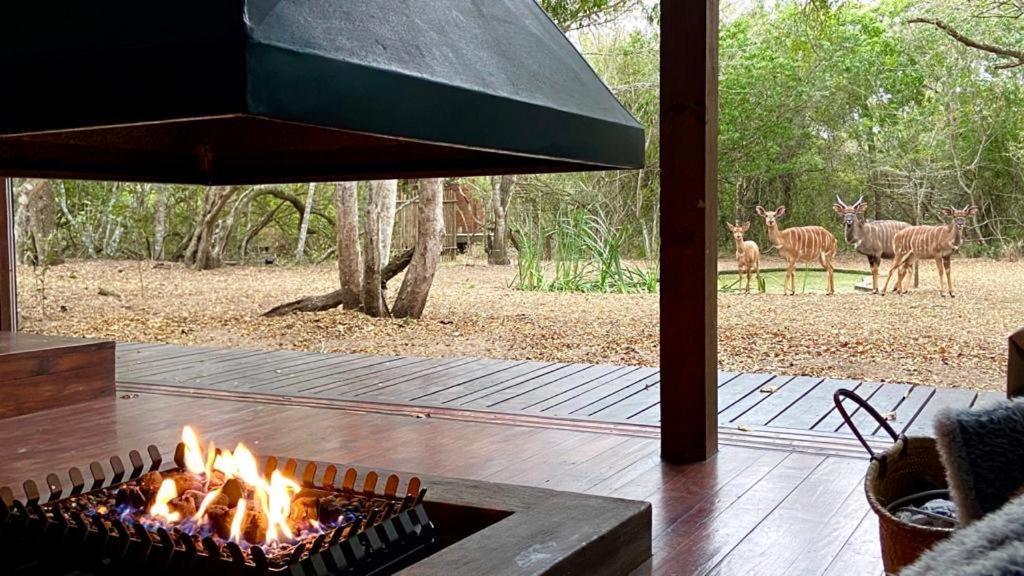 Hideaways Lazuli Bush Lodge, هلوهلوي المظهر الخارجي الصورة